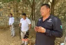 Caninos al rescate