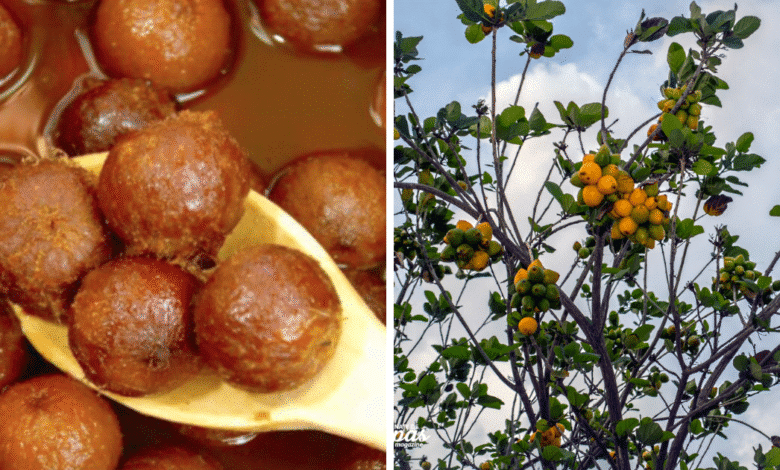 Conocías el Cupapé de Tuxtla, aquí te contamos su historia y la receta de este dulce chiapaneco