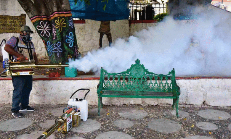 Dengue en Chiapas a la baja