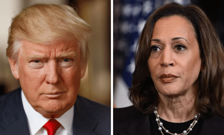 La administración de Donald Trump confirmó la retirada de la protección del Servicio Secreto a Kamala Harris, exvicepresidenta y candidata demócrata en las elecciones de 2024. La decisión ocurre semanas antes del lanzamiento de su libro “107 días”.