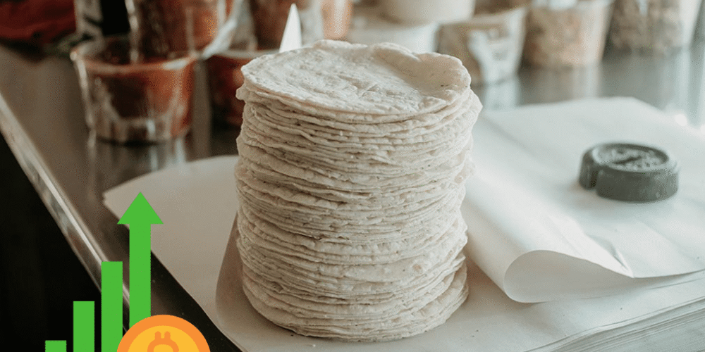 Más de 40 mil tortillerías en la mira: ¿Fuerte cambio en la industria de la tortilla se acerca?