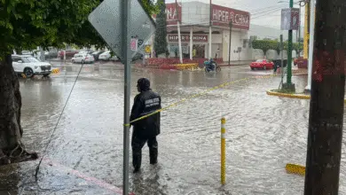 ARCA, es un programa de apoyo vial que busca proteger y asistir a los automovilistas que se encuentren en cualquier situación de riesgo o emergencia.