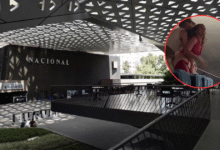 El incidente protagonizado por una mujer durante la exhibición de “Eddington” en la Cineteca Nacional, apodada por usuarios como #LadyCineteca, ha abierto una discusión en redes sociales sobre la importancia del respeto mutuo en lugares públicos y la necesidad de empatía hacia personas que enfrentan posibles retos emocionales.