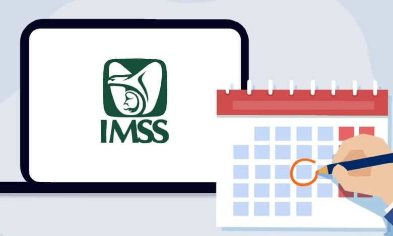 Cómo consultar tus semanas cotizadas en el IMSS (Foto de internet)
