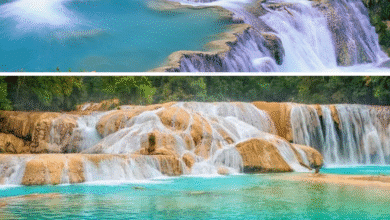 Las 6 cascadas imperdibles que debes visitar en Chiapas