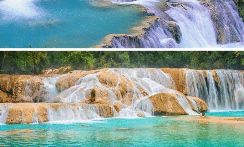 Las 6 cascadas imperdibles que debes visitar en Chiapas