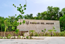 Grupo Mundo Maya garantiza acceso gratuito los días domingo al Parque del Jaguar
