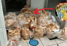 Cadena de comida rápida en Japón cancela promoción de cartas Pokémon por reventa y desperdicio de comida
