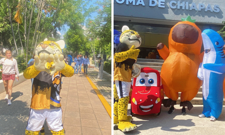 Ocelotes felices