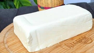 Queso Chiapas orgullo lácteo del sureste mexicano
