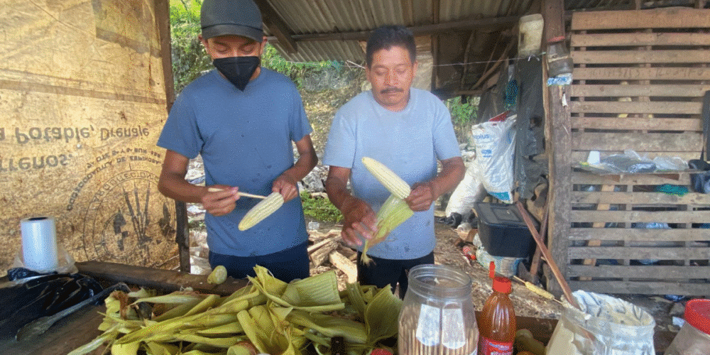 Viajar por las carreteras de Chiapas