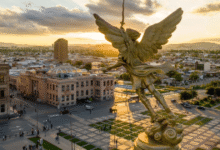 Entre barrancas que tocan el cielo, desiertos que guardan secretos y ciudades que narran epopeyas, Chihuahua se erige como un viaje al alma del México más vasto y legendario.