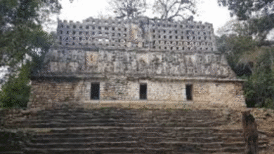 Yaxchilán joya arqueológica maya entre piedra, río y selva en Ocosingo