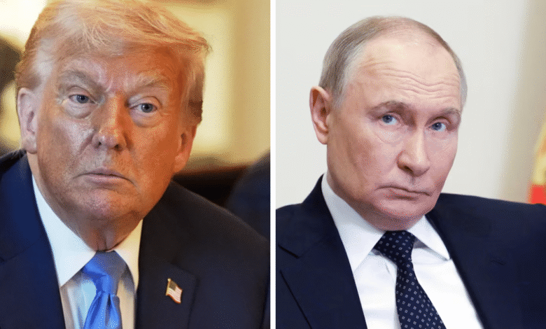 Está en marcha la organización de un encuentro entre Donald Trump y Vladimir Putin, con el objetivo de avanzar en un posible acuerdo para frenar el conflicto en Ucrania. Aunque el lugar permanece sin revelarse.