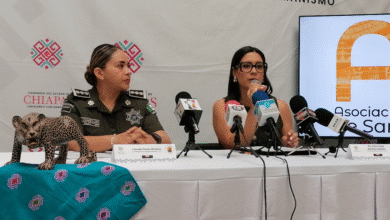Anuncian Carrera Atlética con Causa en San Cristóbal de las Casas