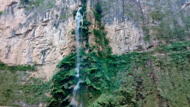 Cascada Árbol de Navidad el tesoro natural del Cañón del Sumidero en Chiapas