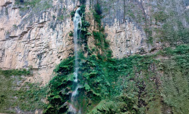 Cascada Árbol de Navidad el tesoro natural del Cañón del Sumidero en Chiapas