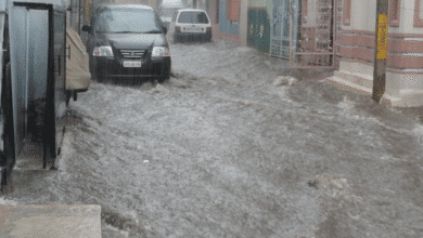 Cómo protegerte antes, durante y después de lluvias intensas e inundaciones