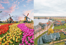 Donde la historia y el futuro se encuentran El modelo de turismo sustentable de Zaanse Schans