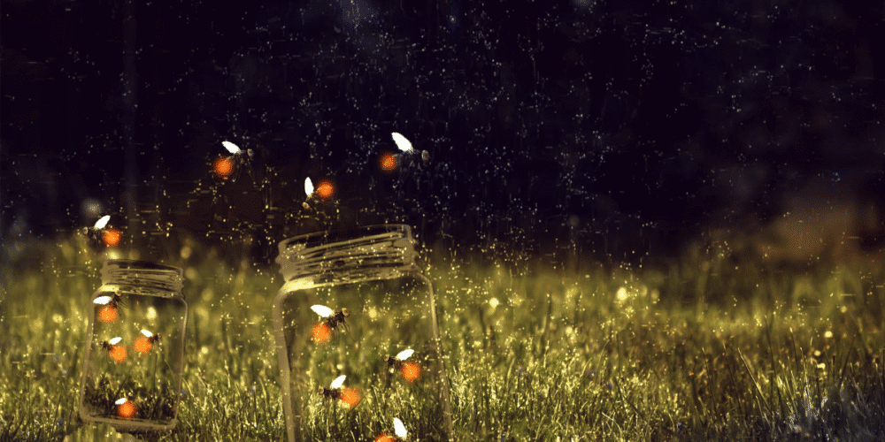 Instituto Tecnológico de Tapachula impulsa el Museo de las Luciérnagas junto al Santuario