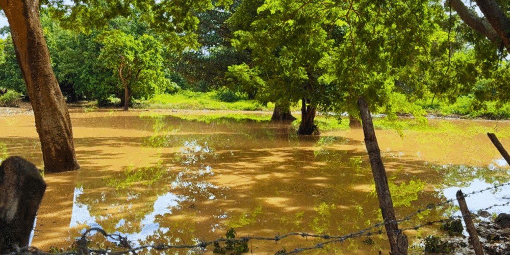 Lluvias causan daños en Chiapa de Corzo