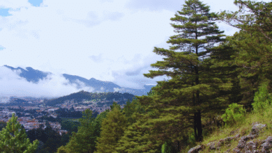 Los Altos de Chiapas tradiciones vivas y pueblos indígenas cerca de San Cristóbal de Las Casas