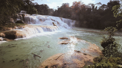 Monitorean ríos en Salto de Agua ante riesgo de desbordamiento por lluvias