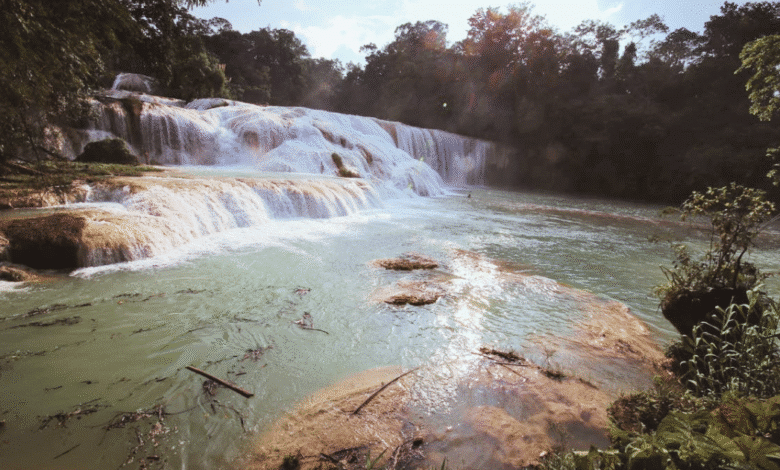 Monitorean ríos en Salto de Agua ante riesgo de desbordamiento por lluvias