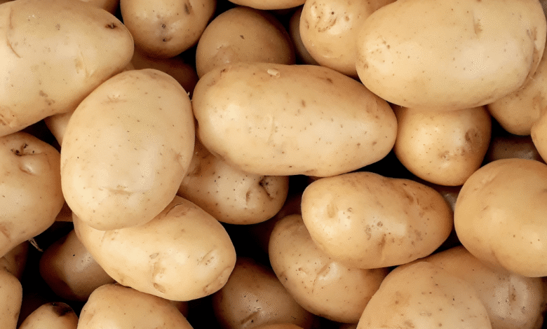 Pastel de papa cuatro recetas para reinventar un clásico argentino