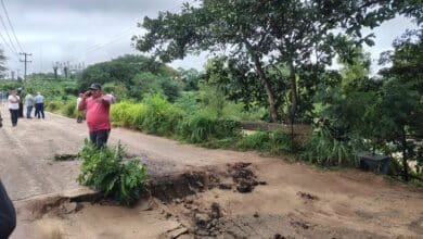 Siguen los trabajos en la Concordia