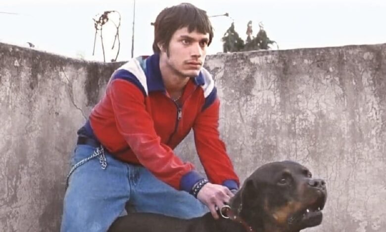 Amores perros celebra 25 años con función en Bellas Artes (Foto de internet)
