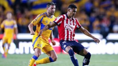 Tigres jugará contra Chivas sin André-Pierre Gignac ¿Dónde verlo? (Foto de internet)