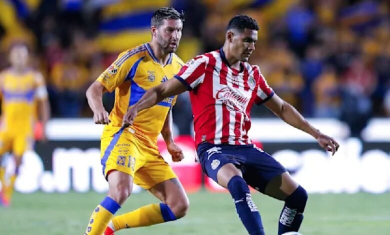 Tigres jugará contra Chivas sin André-Pierre Gignac ¿Dónde verlo? (Foto de internet)
