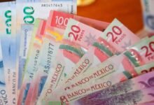Aseguradoras deben pagar adeudos correspondientes SHCP