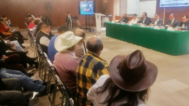 Chiapas impulsa nueva Ley de Desarrollo Sustentable de la Cafeticultura en el Congreso de la Unión