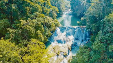 Chiapas, oferta real para turismo mundialista