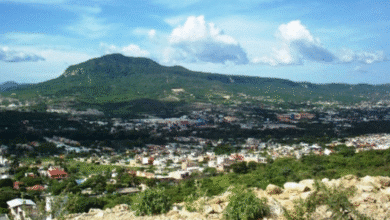 Crecimiento urbano amenaza Cerro Mactumactzá y su biodiversidad en Tuxtla Gutiérrez