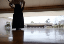 Los dojos de espada —espacios físicos y simbólicos donde se enseñó kenjutsu, iaijutsu y, más tarde, kendo e iaido— fueron instituciones clave para la formación militar, social y moral en el Japón feudal.