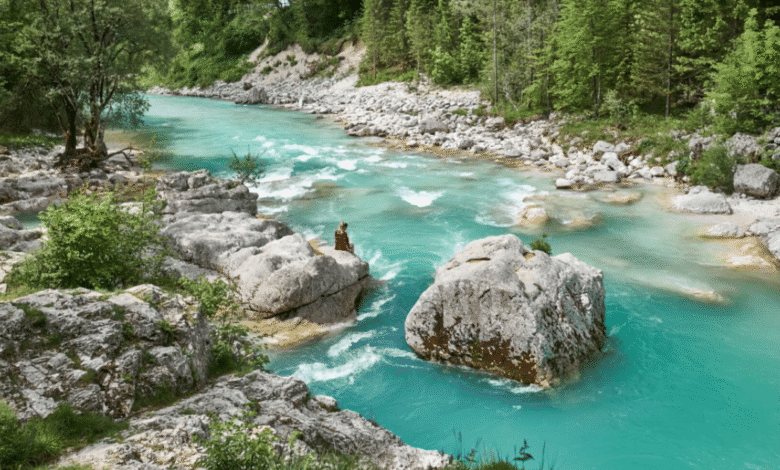 El río esmeralda de los Alpes Soča, el paraíso de aventura de Eslovenia que escapó del turismo masivo (Foto por I feel Slovenia)