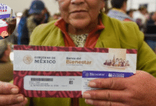 Entrega en curso Se anuncia cuándo será el primer depósito a nuevas beneficiarias de la Pensión Mujeres Bienestar