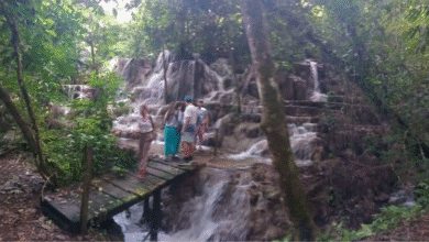 Falla de internet frena promoción turística en la Selva Lacandona