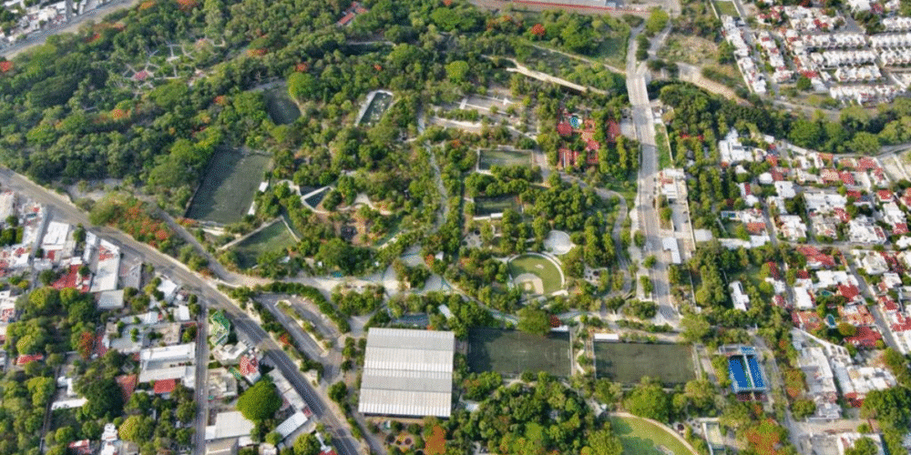 Impulsan iniciativa “Los Pulmones de la Capital” para proteger el Parque Cañahueca