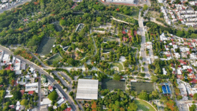 Impulsan iniciativa “Los Pulmones de la Capital” para proteger el Parque Cañahueca