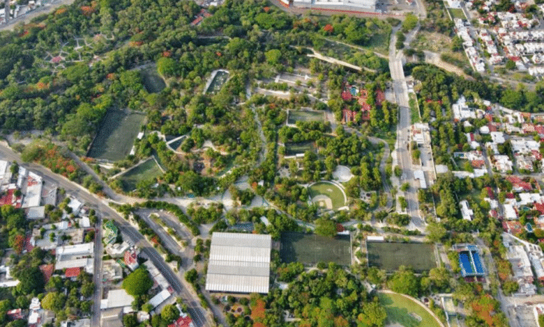 Impulsan iniciativa “Los Pulmones de la Capital” para proteger el Parque Cañahueca
