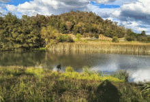 La Sirena de la Laguna, la leyenda que persiste en el Cerrito de San Cristóbal
