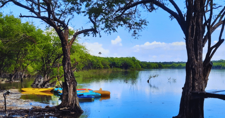 Laguna de Nachi Cocom secreto sagrado de la selva en Yucatán