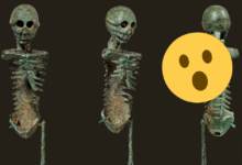 Los esqueletos fantasma el macabro obsequio de los banquetes romanos que recordaba la muerte 1
