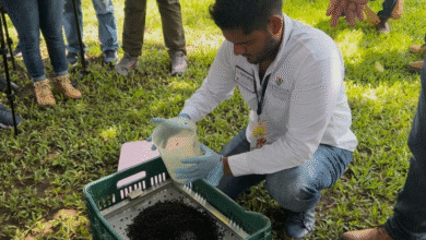 Más de 51 millones de dólares invertidos en el reacondicionamiento de la nueva planta para moscas estériles