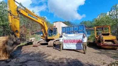PROFEPA clausura obra ilegal y asegura maquinaria en bosque de San Cristóbal de Las Casas
