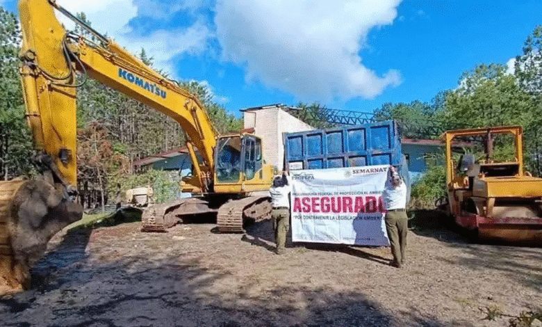 PROFEPA clausura obra ilegal y asegura maquinaria en bosque de San Cristóbal de Las Casas